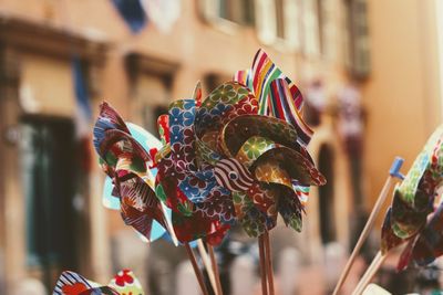 Close-up of multi colored flowers for sale in market