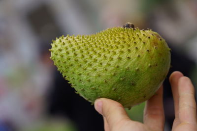 Close-up of hand holding fruit