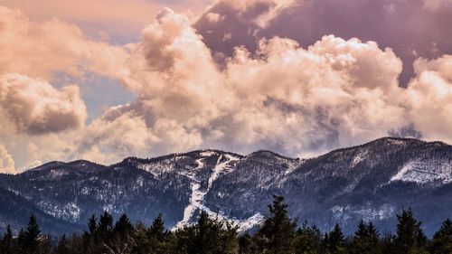 Panoramic view of trees and mountains against sky