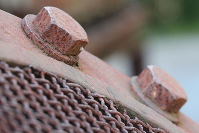 Close-up of rusty bolts on metal