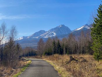 Road amidst plants and trees against sky