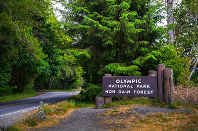 Road amidst trees