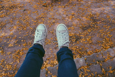 Low section of person sitting on wall by autumn leaves