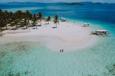 Drone view of couple at beach on sunny day