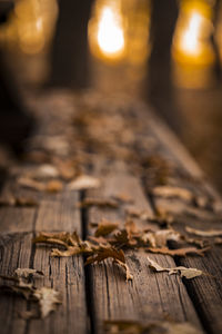 Close-up of leaves on table