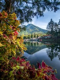 Scenic view of lake by trees against sky