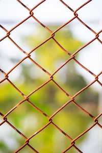 Close-up of chainlink fence