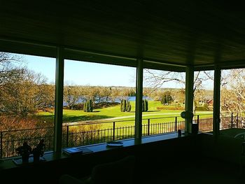 Trees seen through window