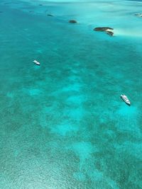 High angle view of swimming in sea