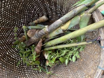 High angle view of vegetables in basket