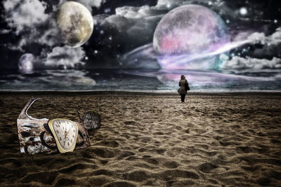 Rear view of man standing at beach against sky