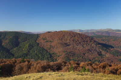 Scenic view of landscape against clear blue sky