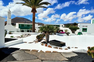 Palm trees by swimming pool against buildings