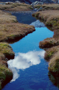 High angle view of river amidst trees