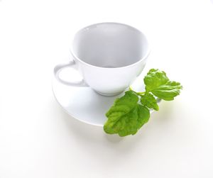 High angle view of coffee and leaves on white background