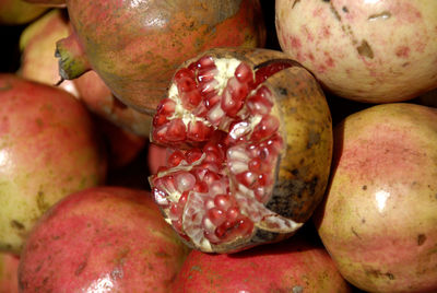 Close-up of fruits