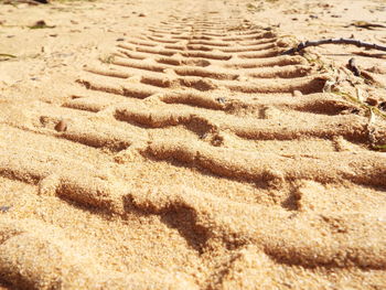 Surface level of sand on beach