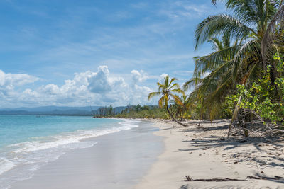 Scenic view of beach against blue sky