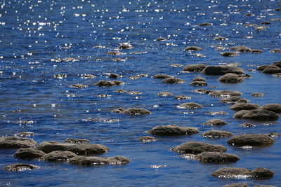 water