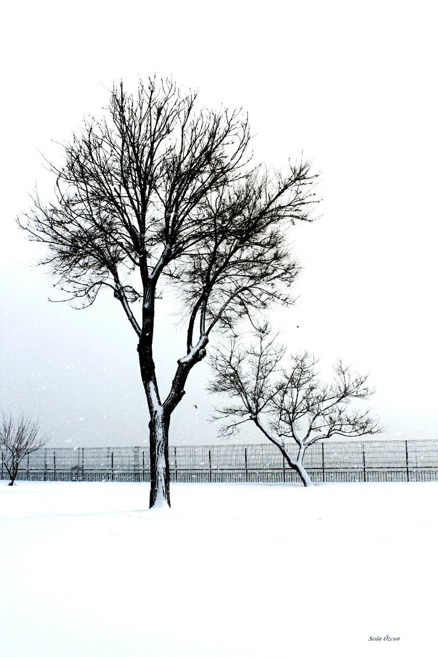 bare tree, winter, snow, cold temperature, tree, clear sky, tranquility, weather, branch, season, tranquil scene, landscape, tree trunk, nature, covering, field, beauty in nature, scenics, copy space, silhouette