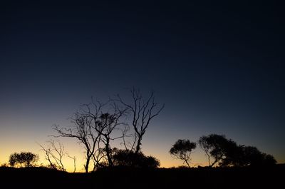 Silhouette trees on field against sky at sunset