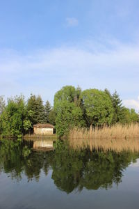 Reflection of trees in lake