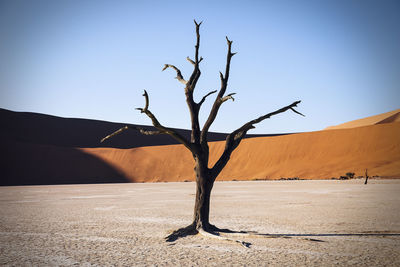 Scenic view of landscape against clear sky