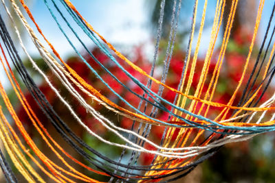 Close-up of blurred background