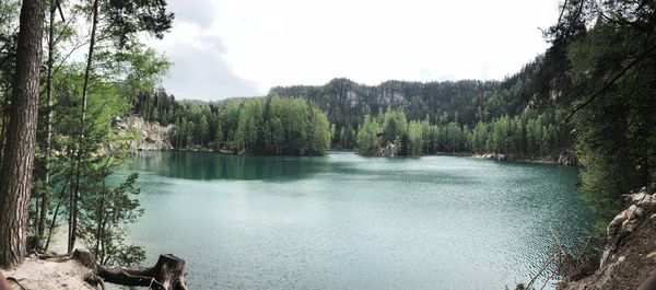 Scenic view of lake in forest against sky