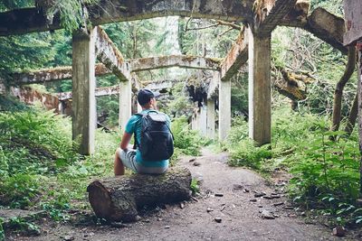 Man sitting on tree trunk