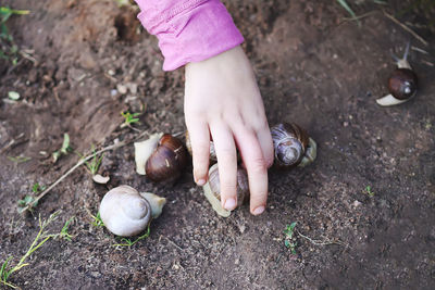 High angle view of baby feet on land