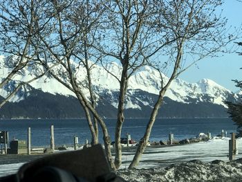 Bare trees by lake against sky during winter