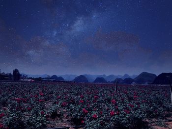 Scenic view of field against sky at night