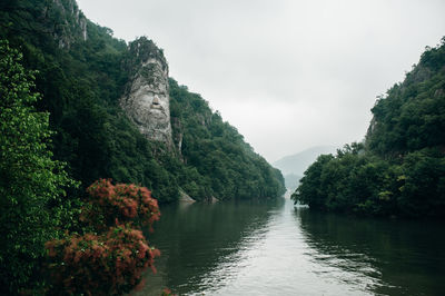 Scenic view of river amidst trees against sky