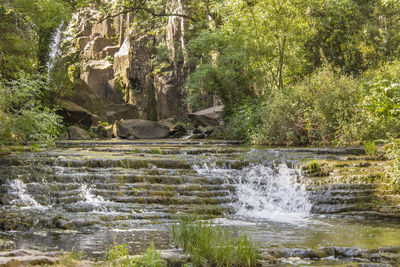 Scenic view of waterfall in forest