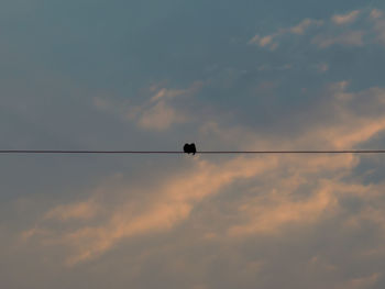 Low angle view of bird perching on cable against sky