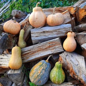 High angle view of pumpkins for sale at market stall