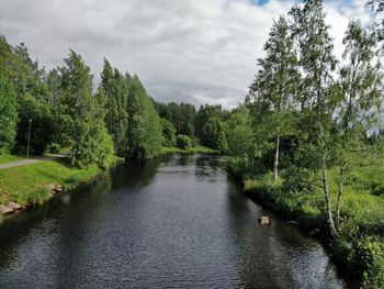 Scenic view of river amidst trees against sky