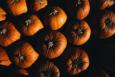 Full frame shot of pumpkins