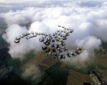 Birds against sky