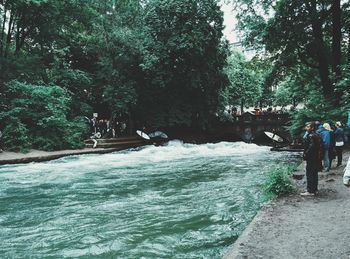 Trees in water