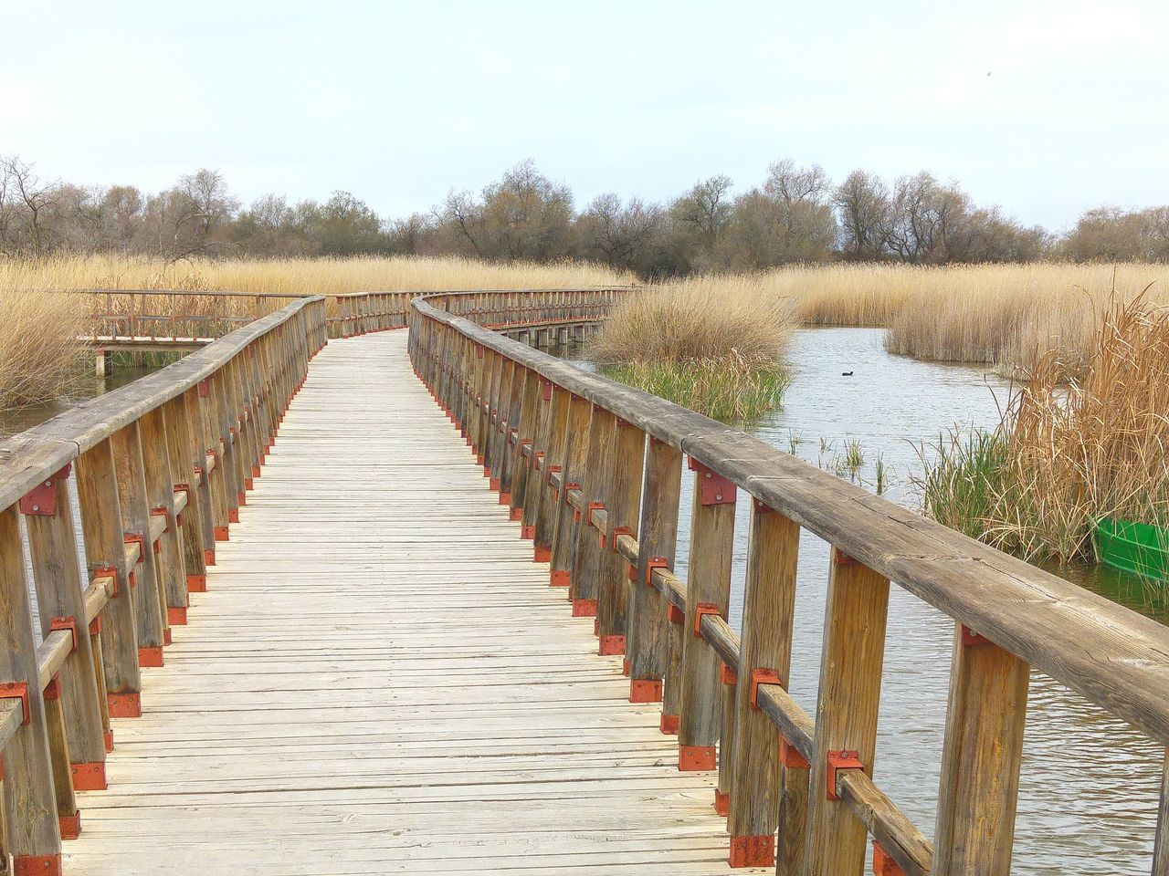 the way forward, diminishing perspective, vanishing point, clear sky, railing, footbridge, water, tranquility, connection, tranquil scene, built structure, tree, boardwalk, bridge - man made structure, long, nature, sky, scenics, day, walkway