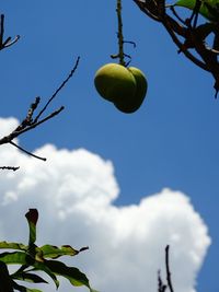 Low angle view of tree against sky