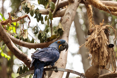 Bird perching on branch