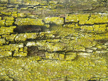 Full frame shot of old yellow wall