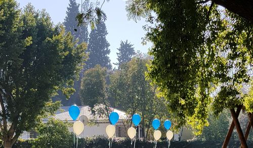 Panoramic view of trees against sky