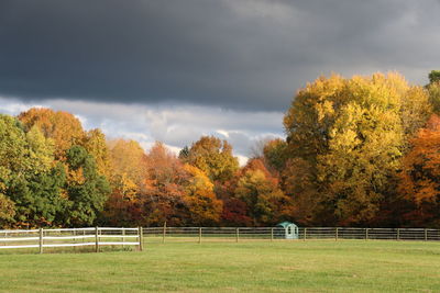 Trees on field against sky during autumn