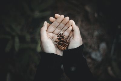 Close-up of woman holding hands