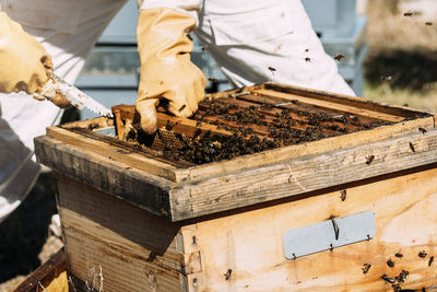 Midsection of man beekeeping at yard