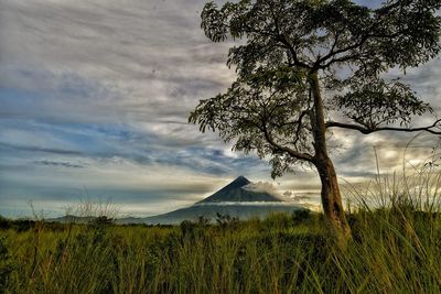 Scenic view of field against cloudy sky